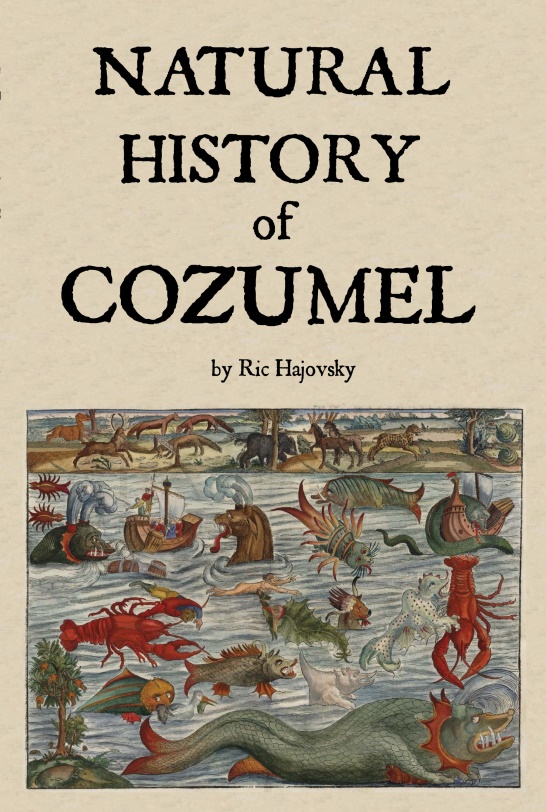 book cover of Natural History of Cozumel